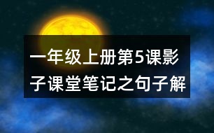 一年級(jí)上冊(cè)第5課影子課堂筆記之句子解析