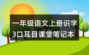 一年級(jí)語文上冊(cè)識(shí)字3口耳目課堂筆記本課知識(shí)點(diǎn)