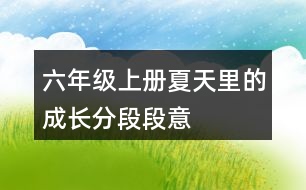 六年級(jí)上冊(cè)夏天里的成長分段段意