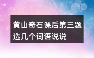 黃山奇石課后第三題選幾個詞語說說