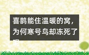 喜鵲能住溫暖的窩，為何寒號鳥卻凍死了呢？