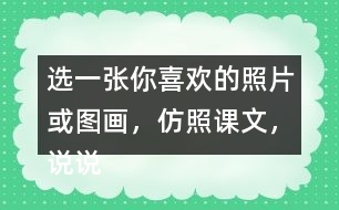 選一張你喜歡的照片或圖畫，仿照課文，說說上面都有什么。