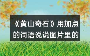 《黃山奇石》用加點(diǎn)的詞語(yǔ)說(shuō)說(shuō)圖片里的石頭，再選一張圖片寫下來(lái)。