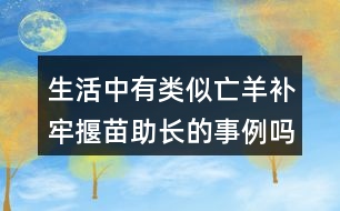 生活中有類似亡羊補(bǔ)牢揠苗助長的事例嗎說一說。