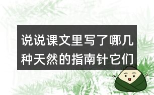 說說課文里寫了哪幾種天然的指南針?biāo)鼈兪窃鯓訋椭藗儽鎰e方向的