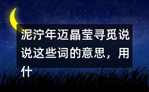 泥濘年邁晶瑩尋覓說說這些詞的意思，用什么方法知道的