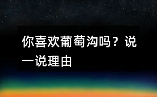 你喜歡葡萄溝嗎？說一說理由