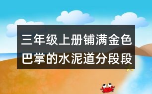 三年級上冊鋪滿金色巴掌的水泥道分段段意