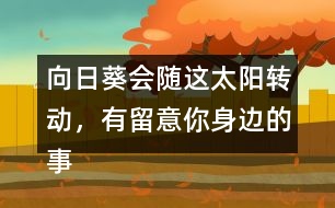 向日葵會隨這太陽轉(zhuǎn)動，有留意你身邊的事物嗎？說一說