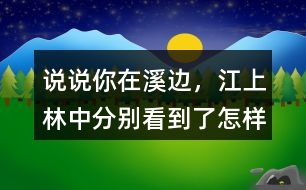 說說你在溪邊，江上、林中分別看到了怎樣的畫面。