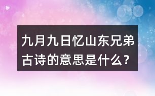 九月九日憶山東兄弟古詩的意思是什么？