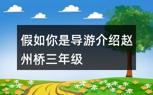 假如你是導(dǎo)游介紹趙州橋三年級(jí)