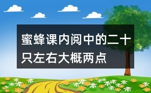 蜜蜂課內(nèi)閱中的二十只左右、大概、兩點(diǎn)四十分等詞中,你體會(huì)到了什么?