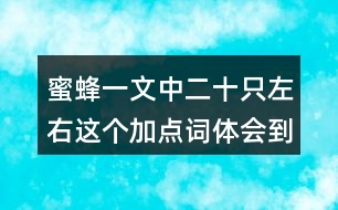 蜜蜂一文中二十只左右這個(gè)加點(diǎn)詞體會(huì)到什么