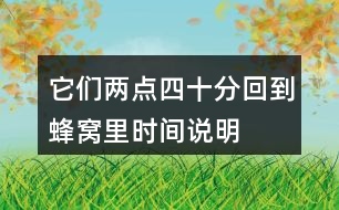 它們兩點四十分回到蜂窩里時間說明