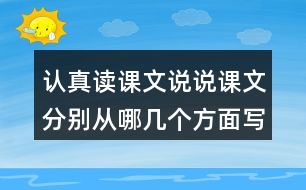 認真讀課文說說課文分別從哪幾個方面寫了天空和大地奇妙