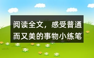 閱讀全文，感受普通而又美的事物小練筆