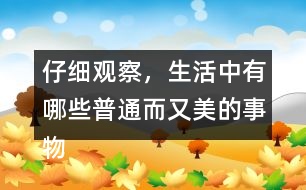 仔細觀察，生活中有哪些普通而又美的事物小練筆三年級