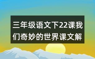 三年級語文下22課我們奇妙的世界課文解析詳細筆記