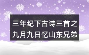 三年紀(jì)下古詩三首之九月九日憶山東兄弟重難點課堂筆記