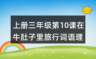 上冊(cè)三年級(jí)第10課在牛肚子里旅行詞語理解