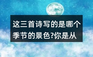 這三首詩寫的是哪個(gè)季節(jié)的景色?你是從哪些地方發(fā)現(xiàn)的?