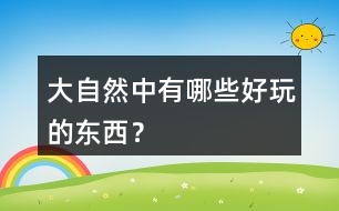 大自然中有哪些好玩的東西？