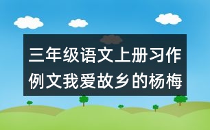 三年級(jí)語文上冊(cè)習(xí)作例文：我愛故鄉(xiāng)的楊梅優(yōu)秀范文2篇