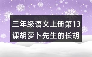 三年級語文上冊第13課胡蘿卜先生的長胡子讀后感