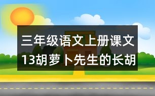 三年級(jí)語文上冊(cè)課文13胡蘿卜先生的長(zhǎng)胡子課堂筆記之本課重難點(diǎn)