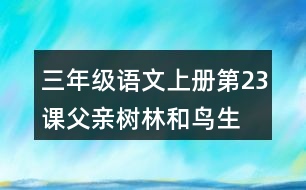 三年級(jí)語(yǔ)文上冊(cè)第23課父親、樹林和鳥生字組詞與近反義詞