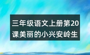 三年級語文上冊第20課美麗的小興安嶺生字組詞及拼音