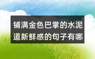 鋪滿金色巴掌的水泥道新鮮感的句子有哪些