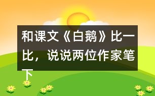 和課文《白鵝》比一比，說說兩位作家筆下的鵝有什么共同點(diǎn)？