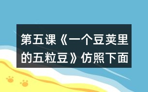 第五課《一個(gè)豆莢里的五粒豆》仿照下面的問(wèn)題清單整理大家提出的問(wèn)題，說(shuō)說(shuō)你有什么發(fā)現(xiàn)。