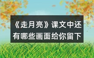 《走月亮》課文中還有哪些畫面給你留下了深刻的印象？和同學(xué)交流。