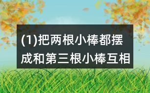 (1)把兩根小棒都擺成和第三根小棒互相平行。看一看，這兩根小棒互相平行嗎?