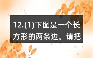 12.(1)下圖是一個長方形的兩條邊。請把這個長方形畫完整。