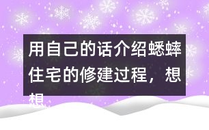 用自己的話介紹蟋蟀住宅的修建過程，想想為什么蟋蟀的住宅可以算是“偉大的工程”。