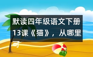 默讀四年級語文下冊13課《貓》，從哪里可以看出作者喜歡貓