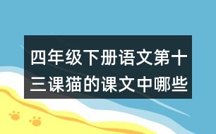 四年級(jí)下冊(cè)語(yǔ)文第十三課貓的課文中哪些地方表現(xiàn)出作者非常喜歡貓