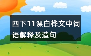 四下11課白樺文中詞語解釋及造句