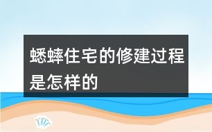 蟋蟀住宅的修建過程是怎樣的