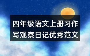 四年級(jí)語(yǔ)文上冊(cè)習(xí)作：寫(xiě)觀察日記優(yōu)秀范文2則