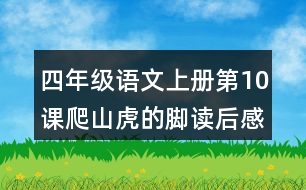 四年級(jí)語文上冊(cè)第10課爬山虎的腳讀后感