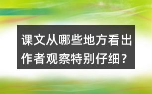 課文從哪些地方看出作者觀察特別仔細？