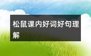 松鼠課內(nèi)好詞好句理解