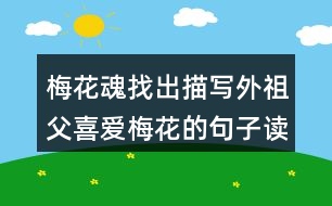 梅花魂找出描寫外祖父喜愛梅花的句子讀一讀，體會這些句子對表達(dá)外祖父的思鄉(xiāng)之情有什么好處。