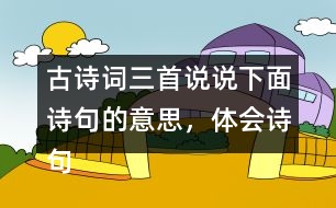 古詩詞三首說說下面詩句的意思，體會詩句表達的思想感情。