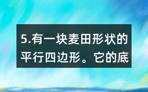 5.有一塊麥田形狀的平行四邊形。它的底是250m，高是84m，共收小麥14.7噸。